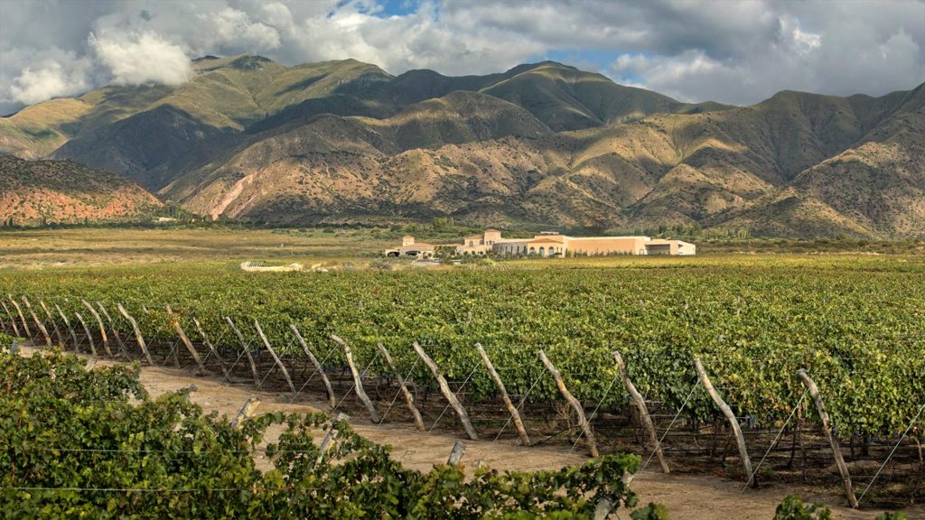 Cafayate