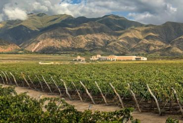 Cafayate