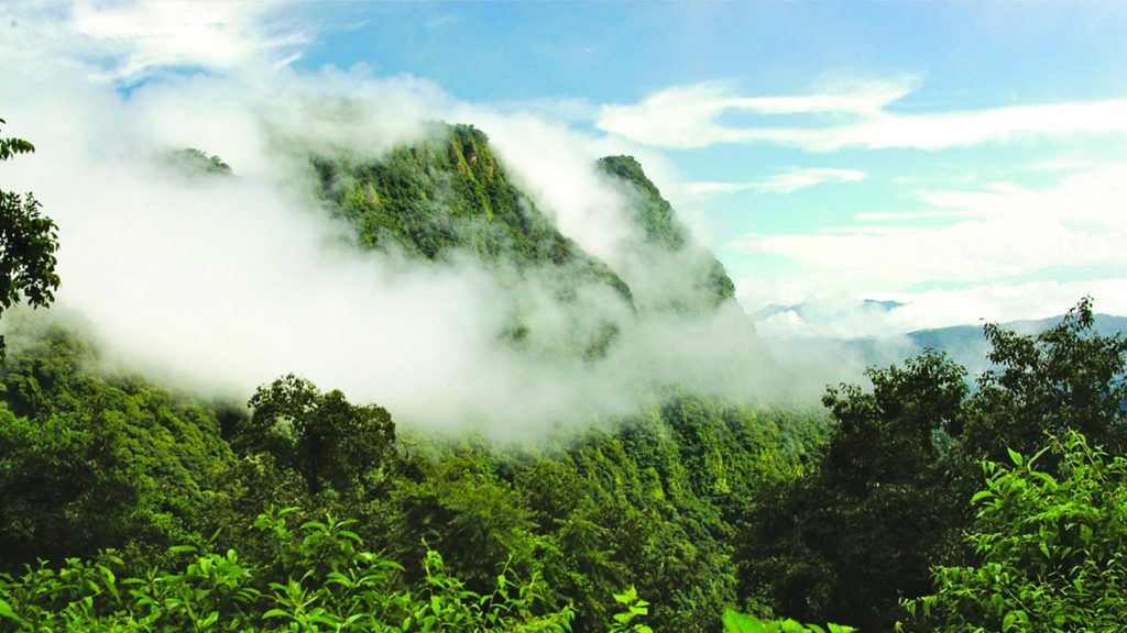 Parque Nacional Calilegua