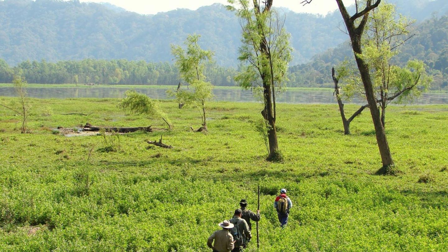 Parque Provincial Laguna Pintascayo