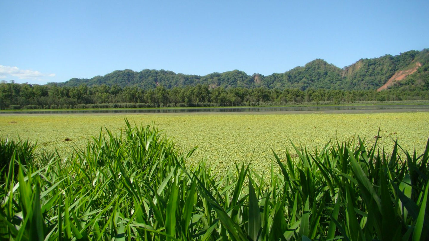 Parque Provincial Laguna Pintascayo