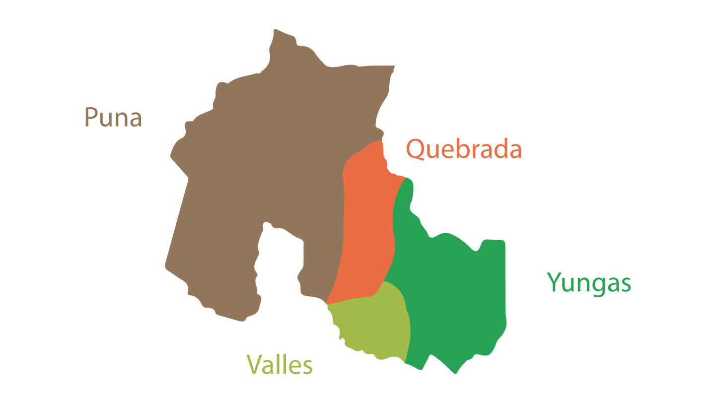Regiones de Jujuy
